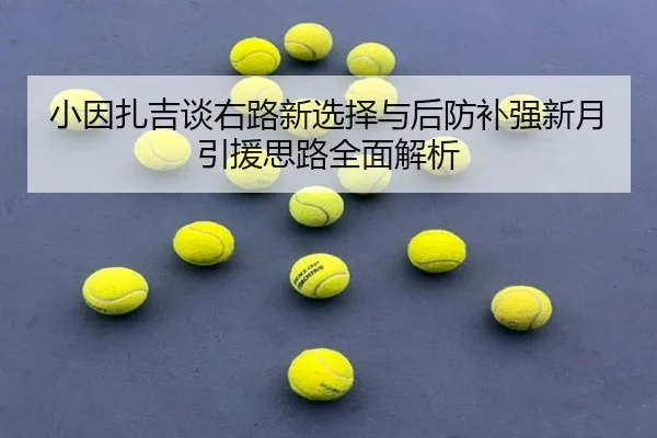 小因扎吉谈右路新选择与后防补强新月引援思路全面解析